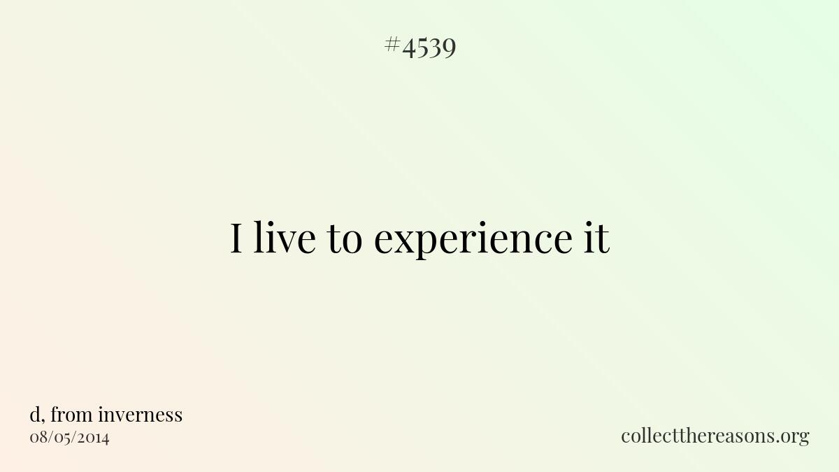 I live to experience it