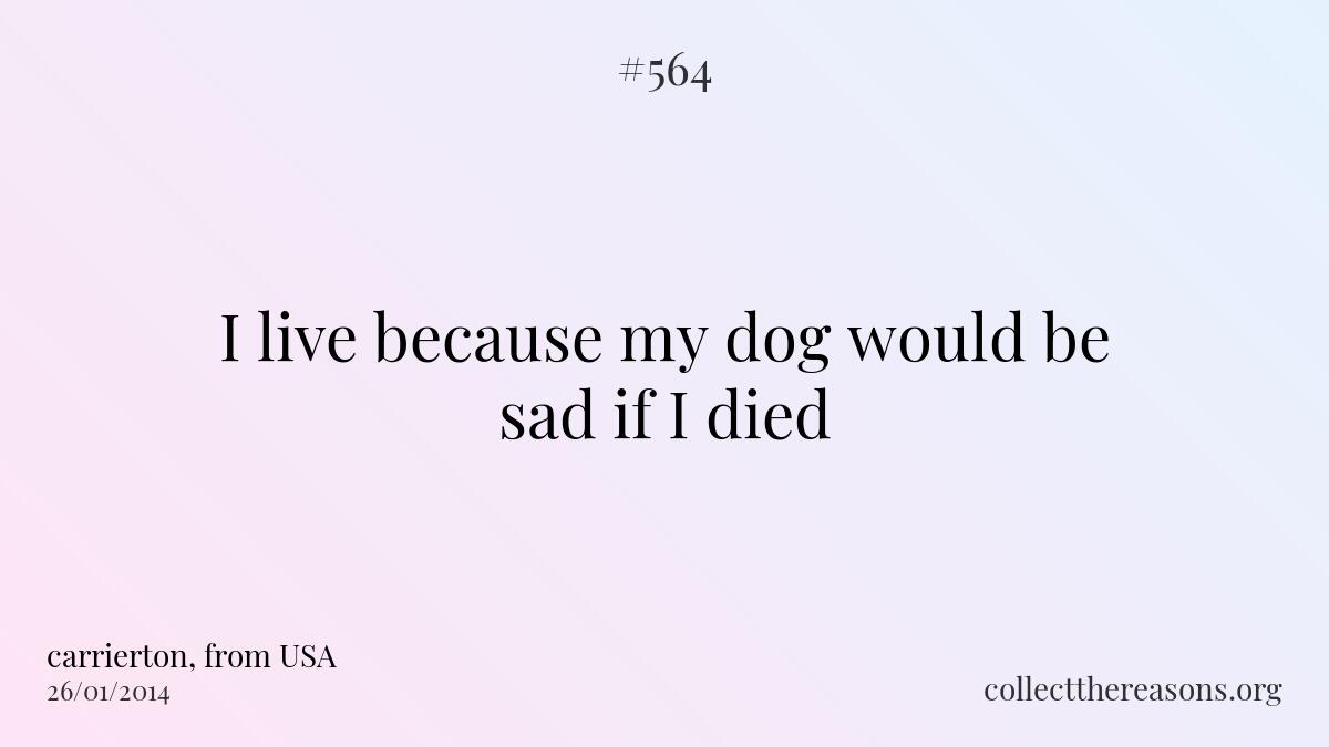 I live because my dog would be sad if i died.