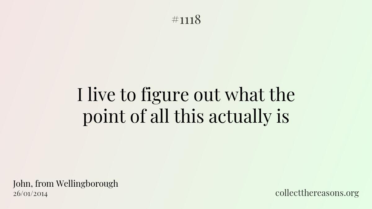 I live to figure out what the point of all this actually is