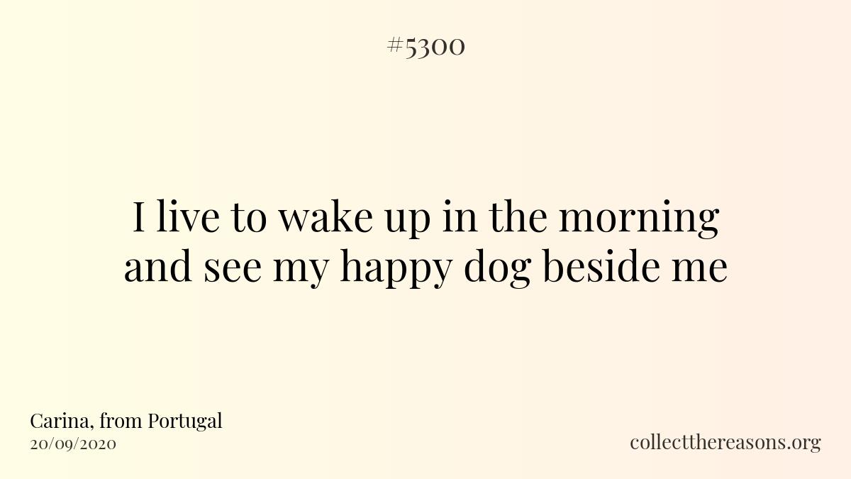 i live to wake up in the morning and see my happy dog beside me