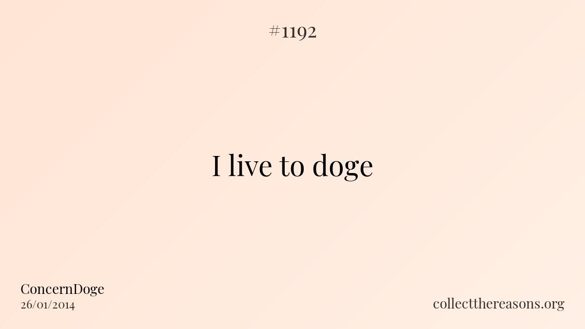 I live to doge