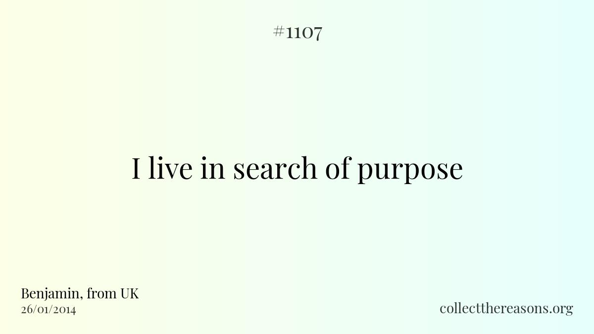 I live in search of purpose