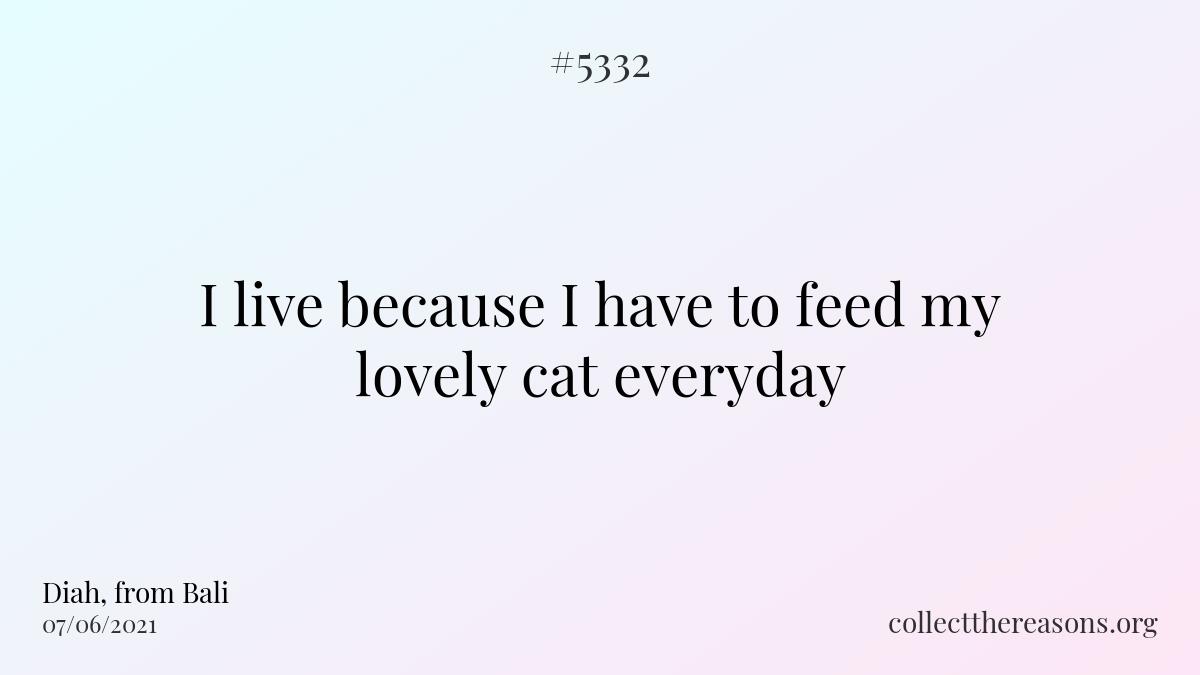 i live because i have to feed my lovely cat everyday