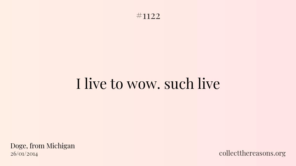 I live to wow. such live.