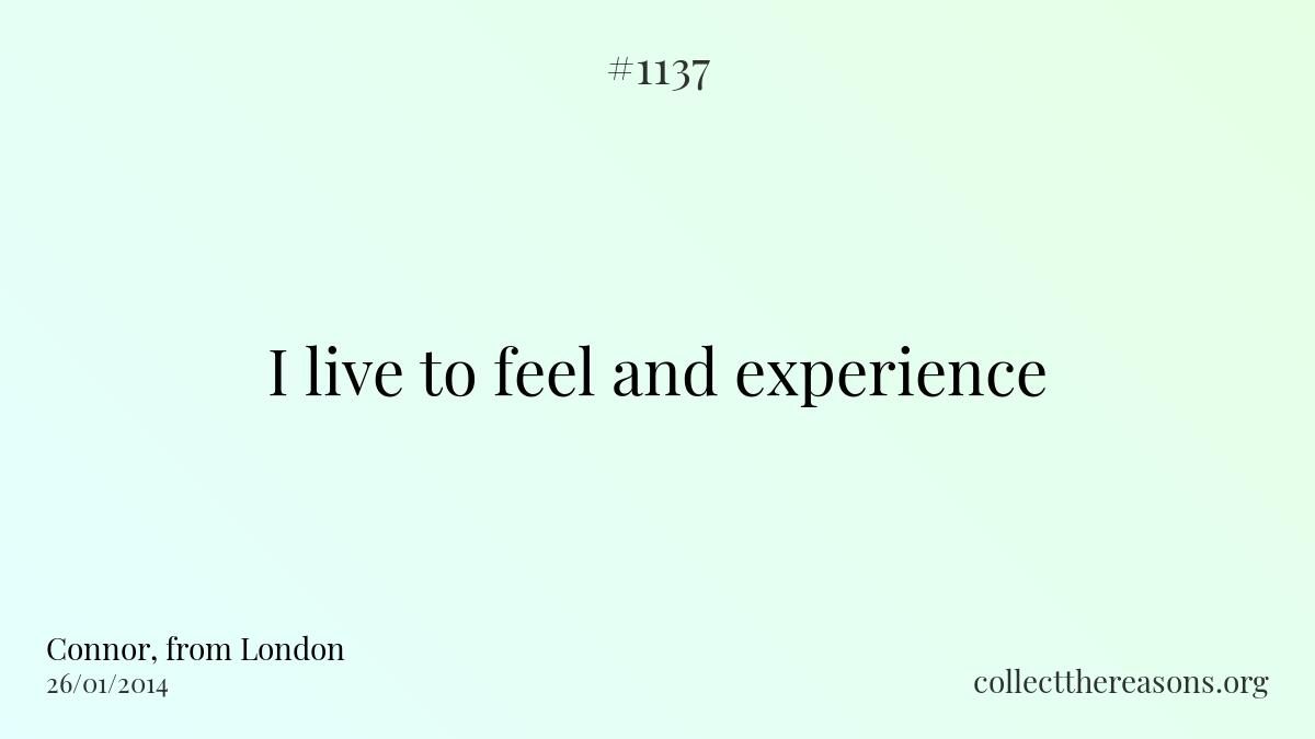 I live to feel and experience