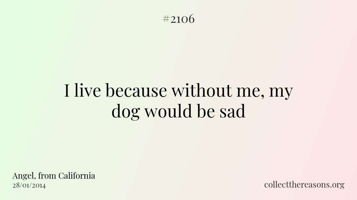 I live because without me, my dog would be sad.