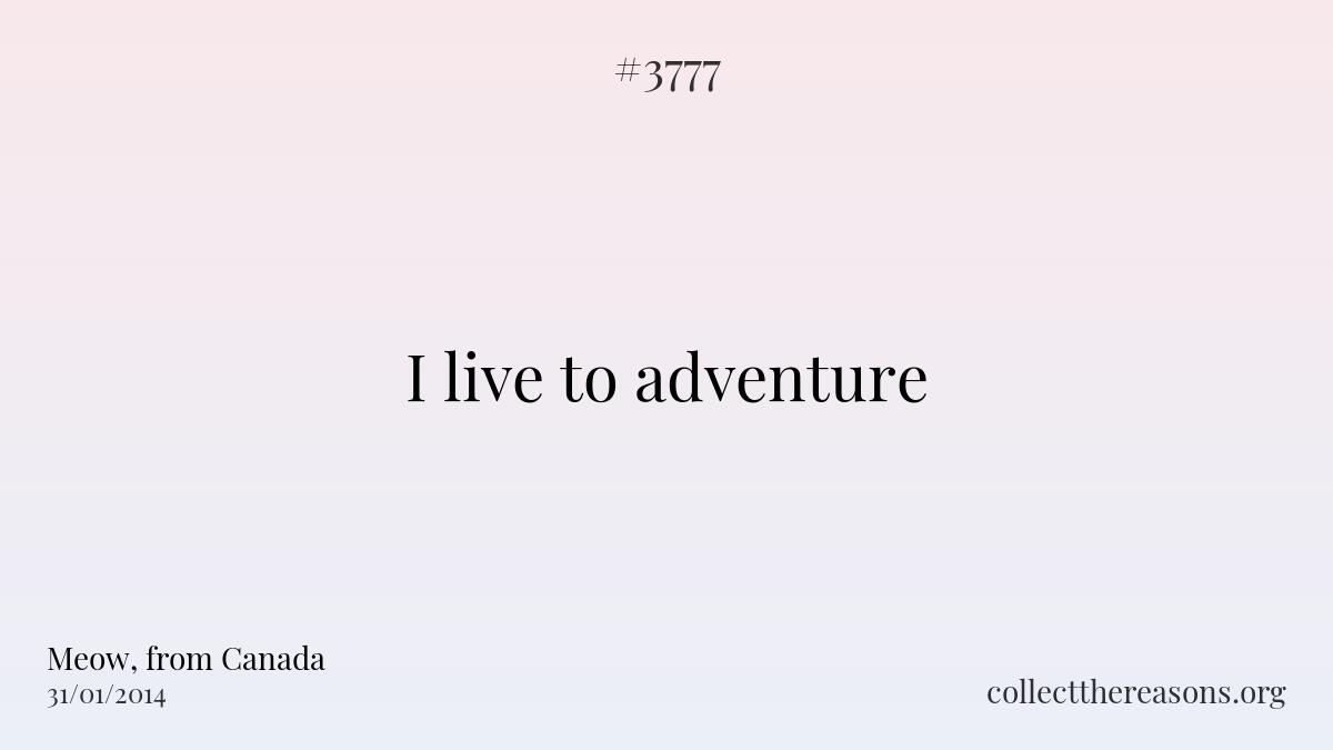 I live to adventure