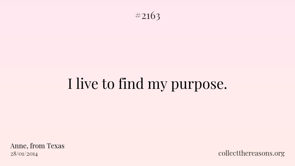 I live to find my purpose. 