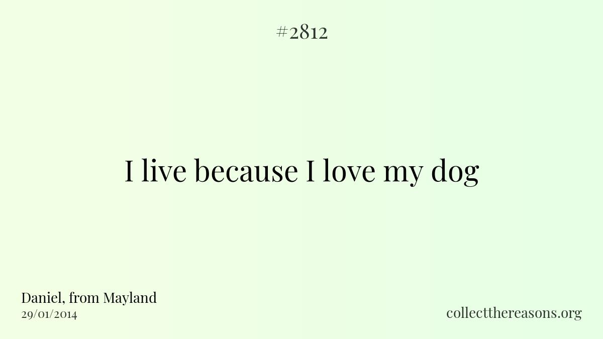 I live because i love my dog