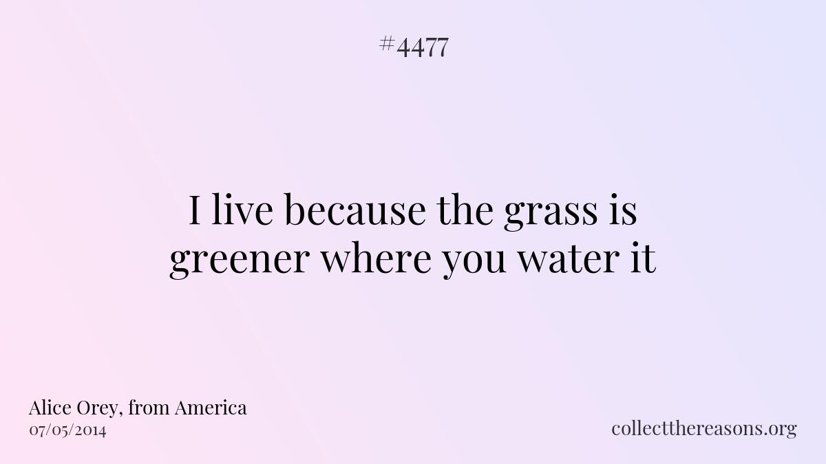 I live because the grass is greener where you water it