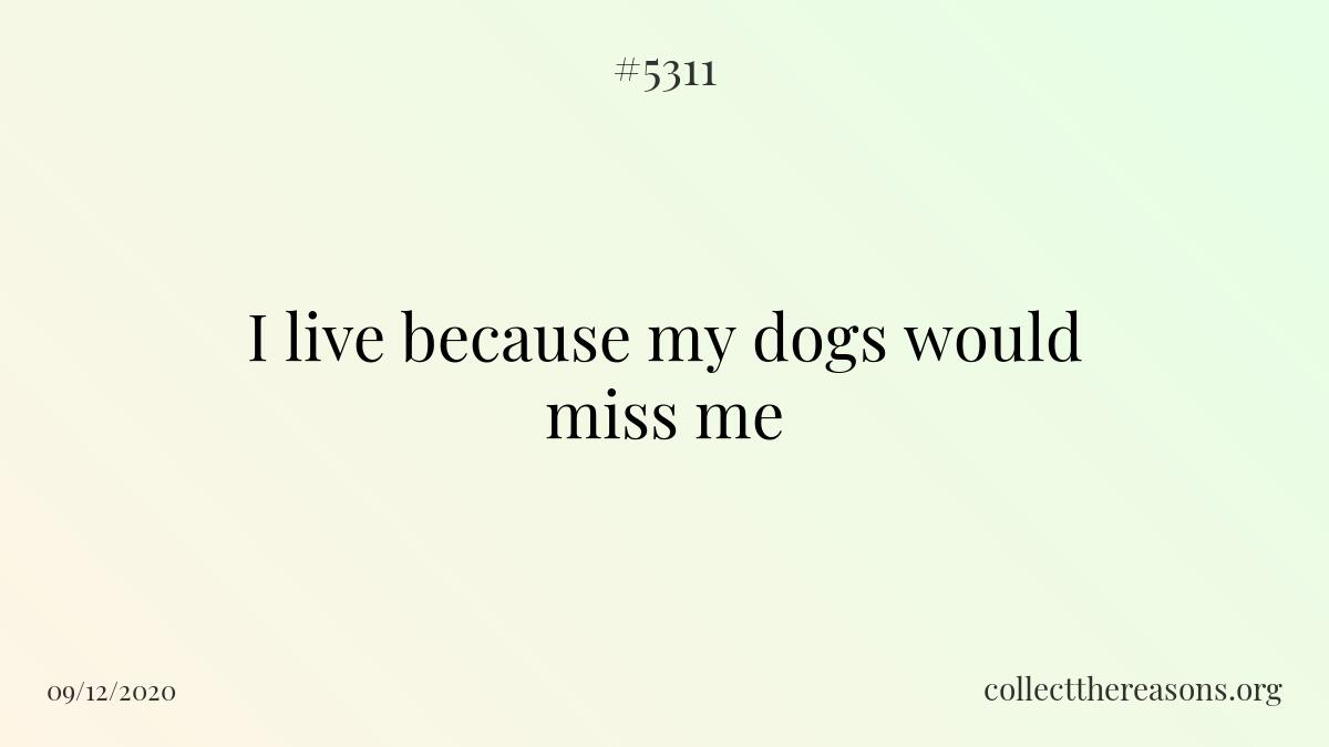 i live because my dogs would miss me