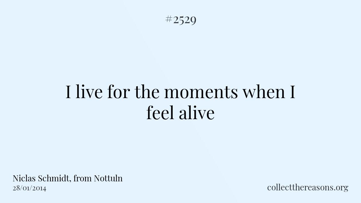 I live for the moments when i feel alive.