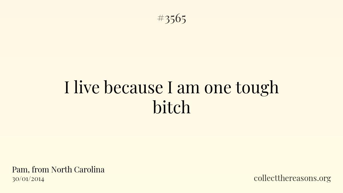 I live because i am one tough bitch.