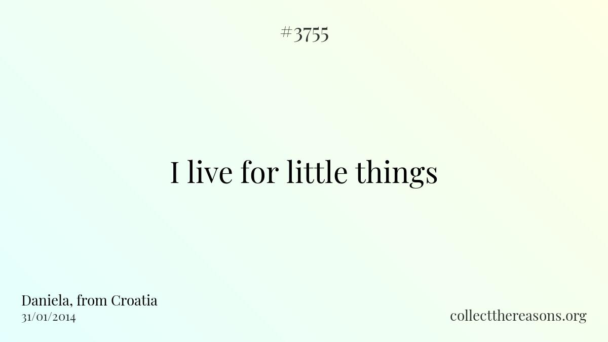 I live for little things 