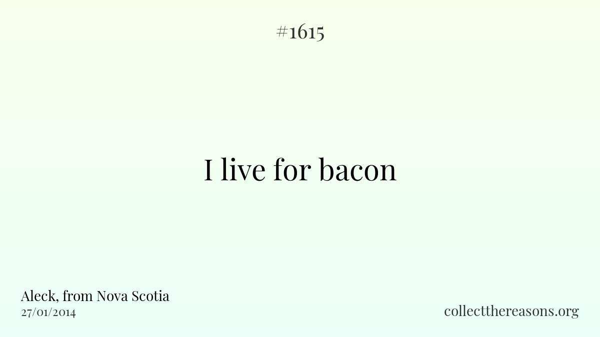I live for bacon