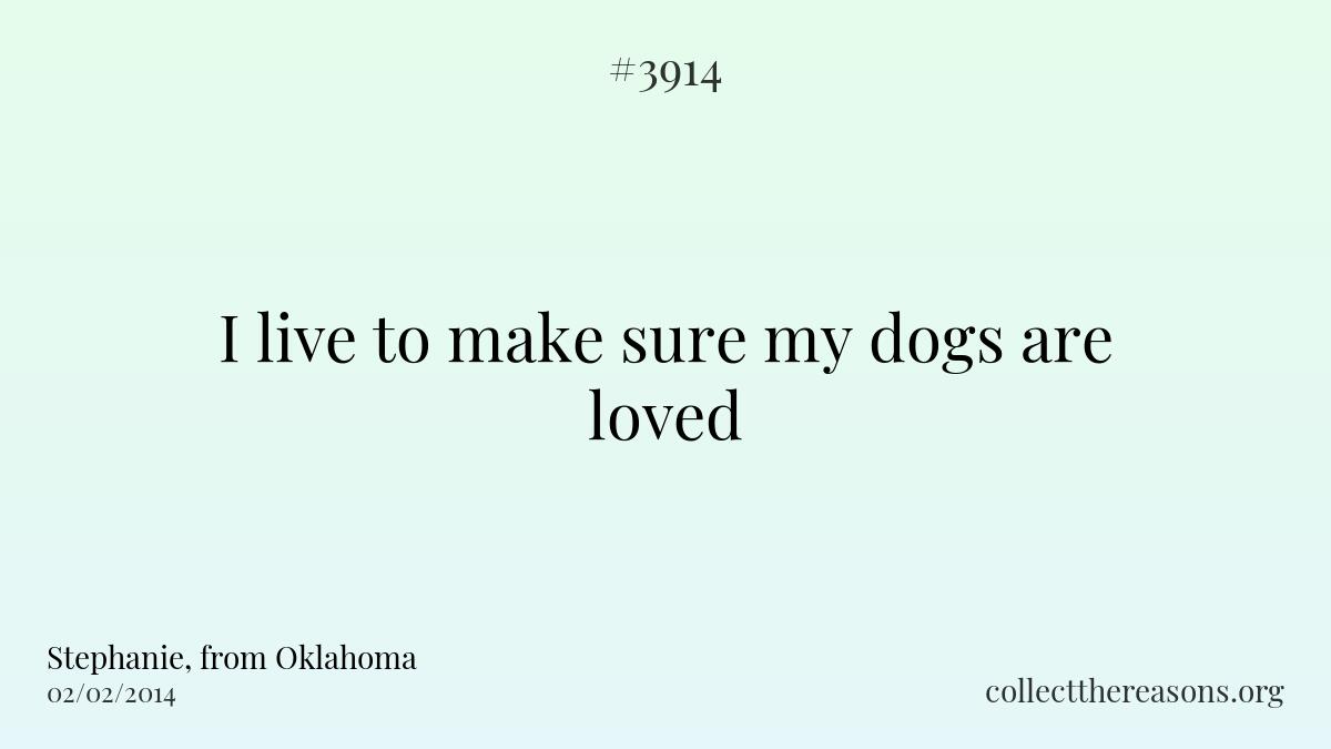 I live to make sure my dogs are loved