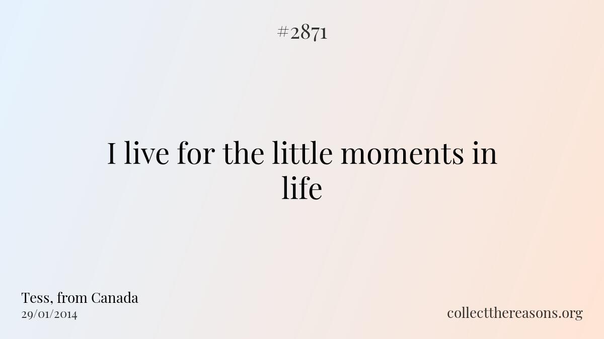 I live for the little moments in life.