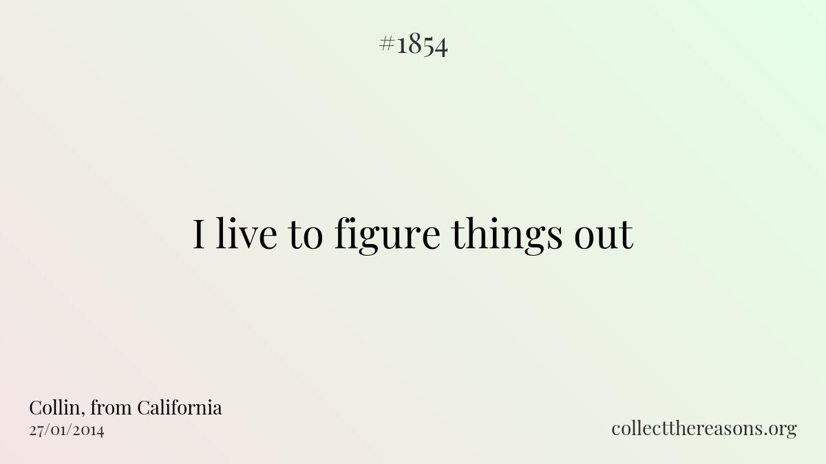 I live to figure things out