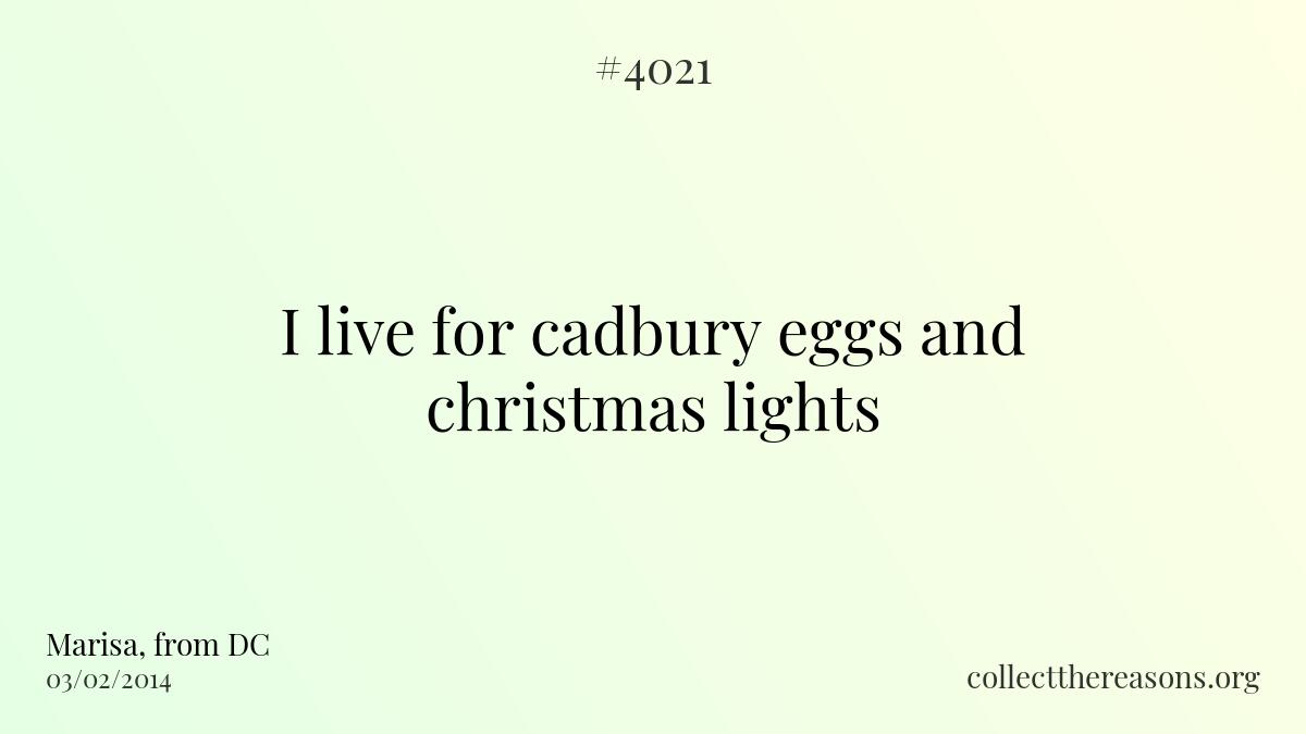 I live for cadbury eggs and christmas lights.