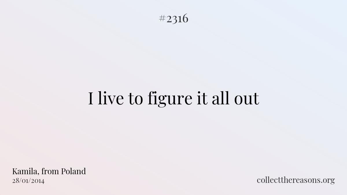 I live to figure it all out